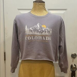 Hollister Light Purple Sweatshirt oversized crop